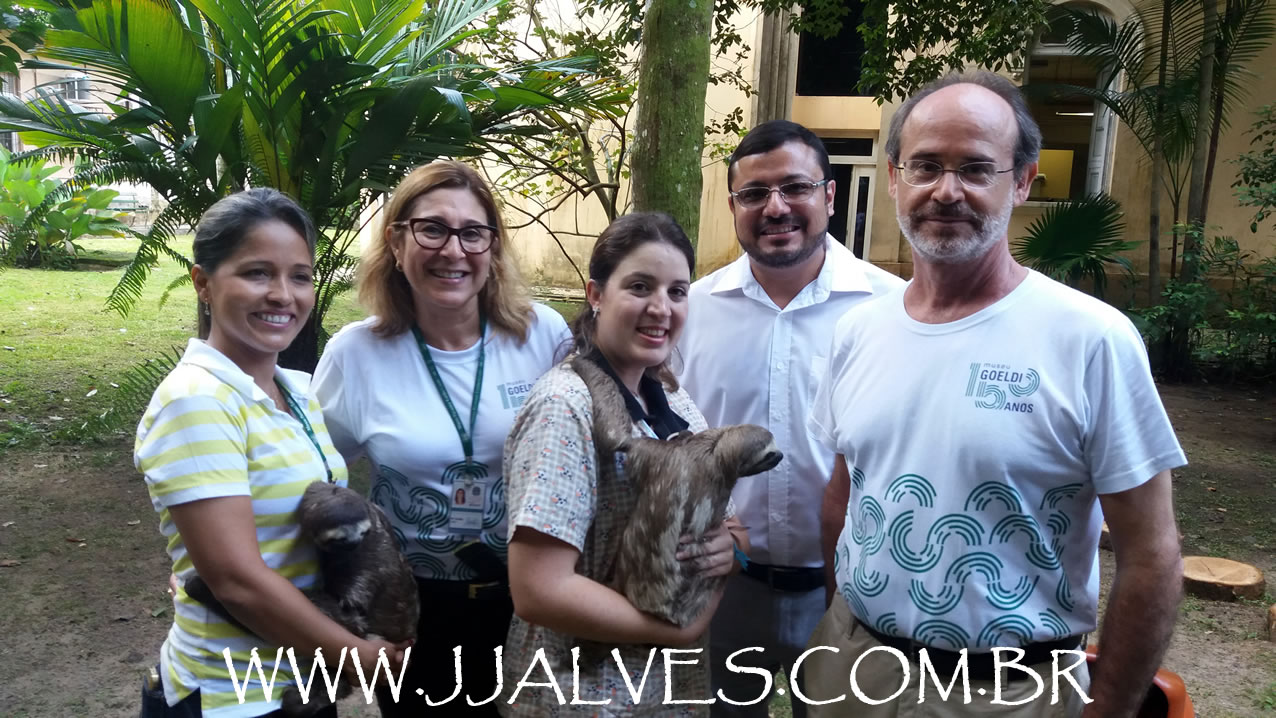jjalves-museu-3
